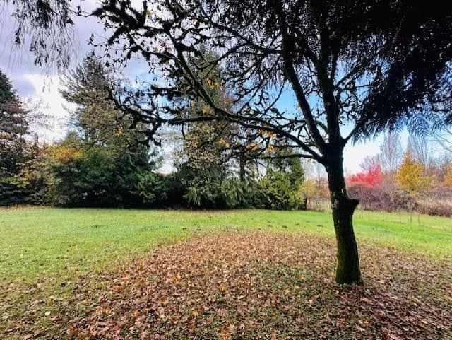 PublicWebsiteListing image 5